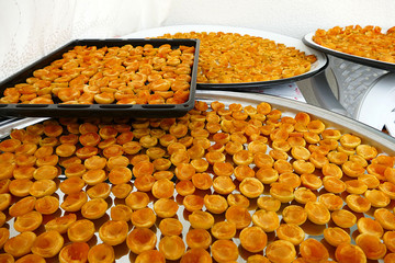 drying the ripe apricots in the sun, making dried fruits, apricot drying at home,