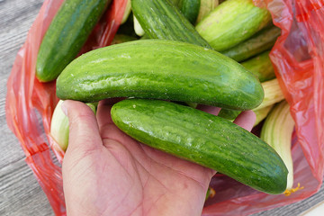 pickles to make cucumbers, gherkins and pickles, fresh gherkins, natural gherkins,