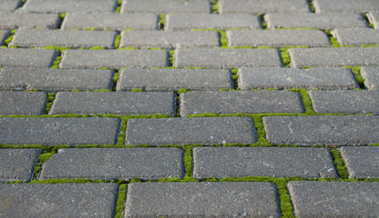 Photo of abstract road brick background