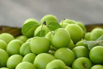 close-up of green sour plums, fresh green plums,