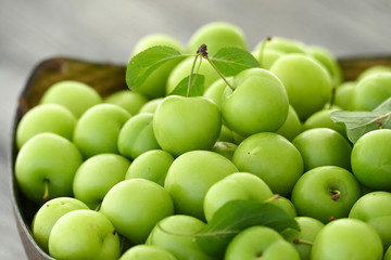 sour green plums, double bunch of plums