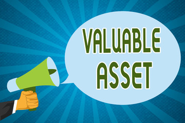 Word writing text Valuable Asset. Business concept for Your most valuable asset is your ability or capacity.