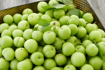 sour green plums, double bunch of plums