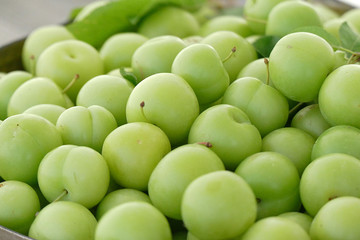 close-up of green sour plums, fresh green plums,