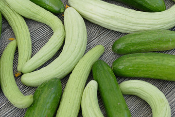fresh and organic gherkin, white gherkin,