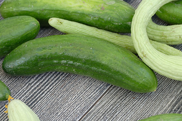 fresh and organic gherkin, white gherkin,