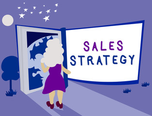 Text sign showing Sales Strategy. Conceptual photo Plan for reaching and selling to your target market Marketing.