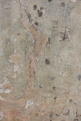 Old flaky paint peeling off a grungy cracked wall. Cracks, scrapes, peeling old paint and plaster on background of old cement wall. An old cement stone wall as vintage cracked.