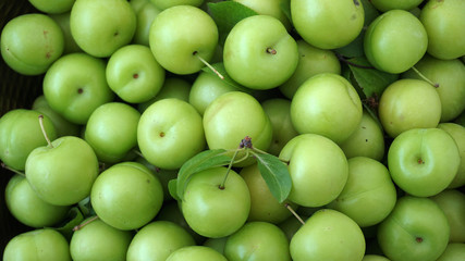 green plums on white ground, fresh plums, 