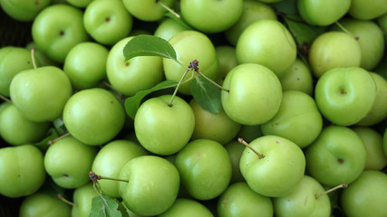 green plums on white ground, fresh plums, 