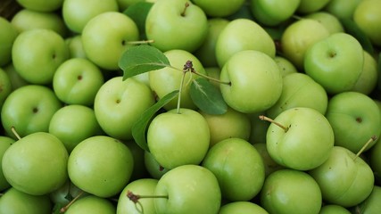 lots of green and sour fresh plums, on white background