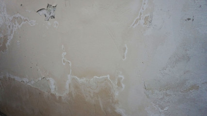 mold and fungi on the damp wall, mold formation, moisture and mold,