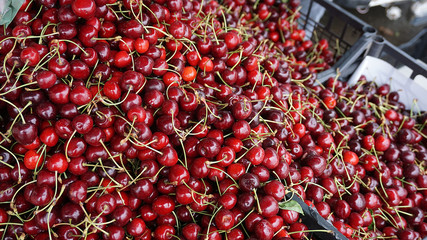 peddler sells cherries on the counter, greengrocer countertops and cherry fruit,