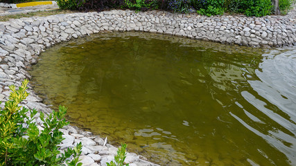 dirty pool, dirty water of the pool,
