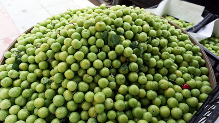 sour green plums in close-up bench, 