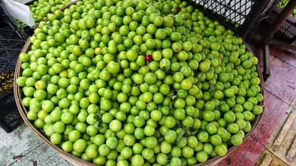 sour green plums in close-up bench, 