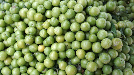 sour green plums in close-up bench, 