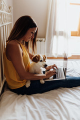 Beautiful woman sitting on the bed typing on the laptop with her dog Jack Russell terrier on her legs at sunset