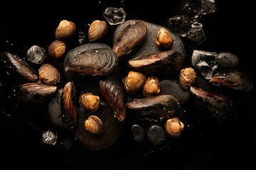 top view of frozen uncooked cockles and mussels on stones near scattered ice cubes isolated on black