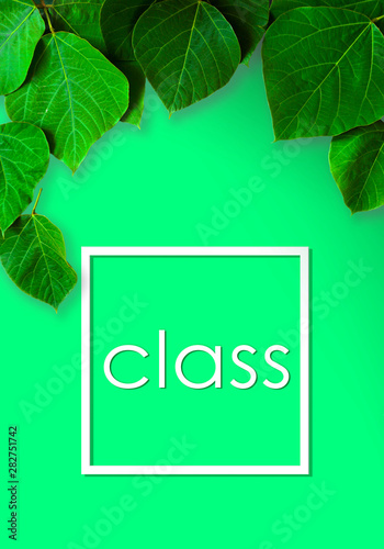 Spring Summer Version Poster For Class Or Classroom Background Material Of Plant And Wall Created In Poster Size 教室や講座などのポスター 春夏バージョン ポスターサイズで作成された植物と壁の背景素材 Wall Mural Kana Design Image Spring Summer Version Poster For Class Or Classroom Background Material Of Plant And Wall Created In Poster Size 教室や講座などのポスター 春夏バージョン ポスターサイズで作成された植物と壁の背景素材 Wall Mural Kana Design Image