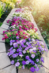 home house curb appeal Flower beds garden Blooming in the Spring Summer at a home 