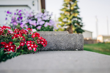 home house curb appeal Flower beds garden Blooming in the Spring Summer at a home 