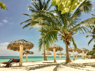 Obraz na płótnie Canvas tropical beach with palm trees and palapas