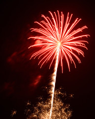 red yellow fireworks palm tree