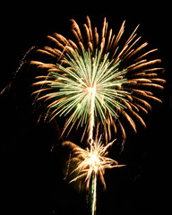 green orange yellow fireworks palm tree