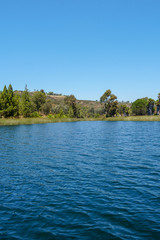 Fototapeta na wymiar Big reservoir lake with blue water, trees and native wetland plants during nice blue sky summer day. Miramar reservoir in the Scripps Miramar Ranch community, San Diego, California. 