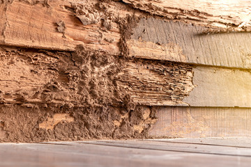 Old wooden walls that were bitten by termites.
