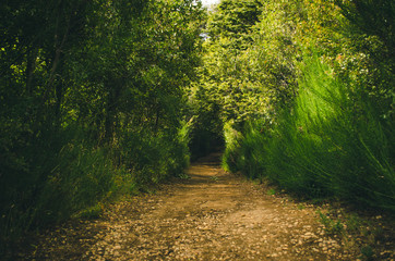 Sendero