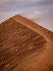 Strong winds blow the sand off the top of this sand dune in Namibia