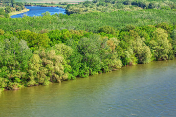 aerial view of green spring nature