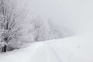 winter landscape with snowy country road