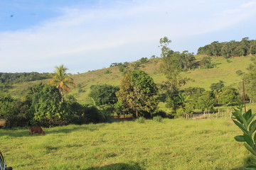Paisagem