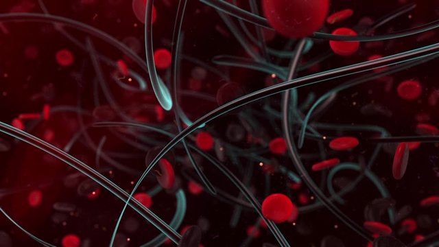Ebola virus disease medical 3D animation render