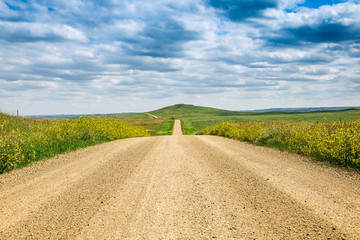a long dirt road in rural North Dakota with a bright blue sky with clouds in the horizon - Powered by Adobe