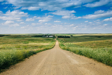 a long dirt road in rural North Dakota with a bright blue sky with clouds in the horizon
