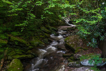 Obraz premium Mountain stream and small waterfall 