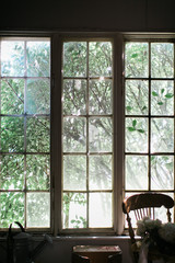 old window with trees outside and light coming through, waterman, flower arrangement