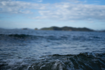 海