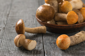 Clay bowl with a fresh harvest of wild mushrooms on a wooden table.