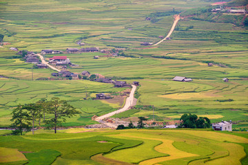 Beautiful rice paddy fields with hut prepare the harvest on terraced of Mu Cang Chai district Yen...