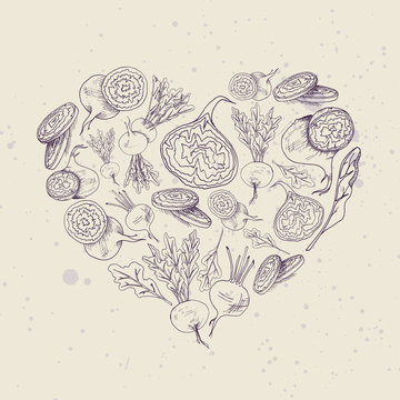Vector background with beet root  illustration Hand drawn heart shape food image
