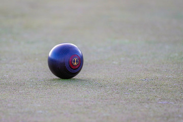 Blue Lawn Bowl