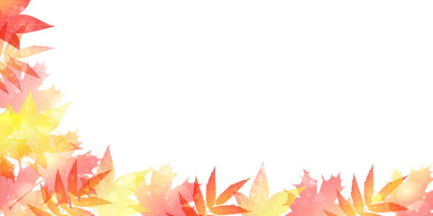 紅葉　もみじ　葉　背景 