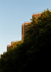 View on buildings from trees
