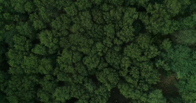 Vellore mountains are unique with Rocky tops with Greenery all around. Phantom 4 pro 4K 60 Fps footage down scaled to 30 fps