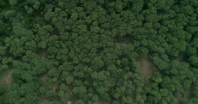 Vellore mountains are unique with Rocky tops with Greenery all around. Phantom 4 pro 4K 60 Fps footage down scaled to 30 fps
